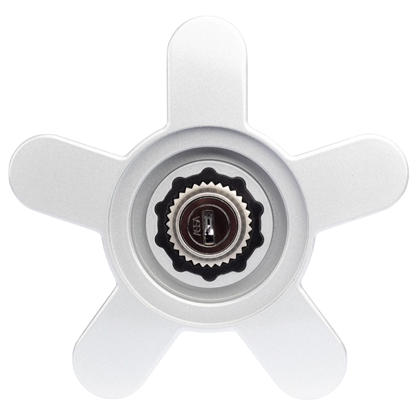 Rimgard® Wheel lock for Porsche Silver, light grey