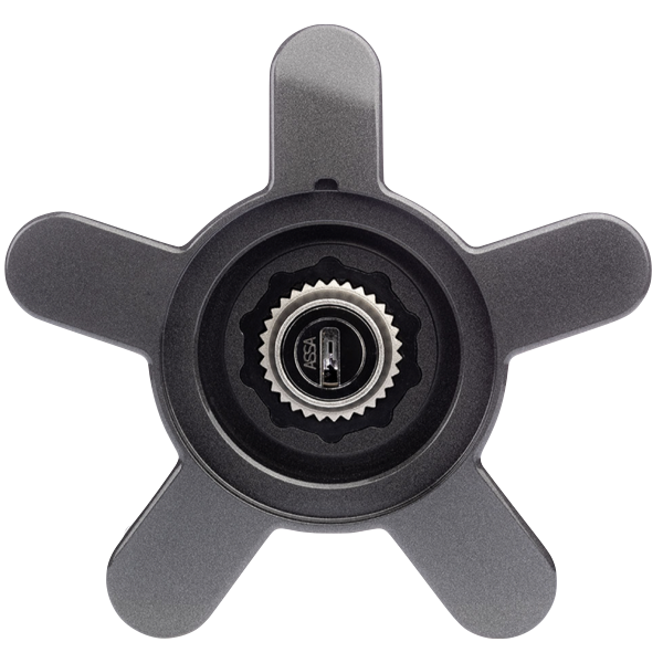 Rimgard® Wheel lock for Porsche Anthracite, grey